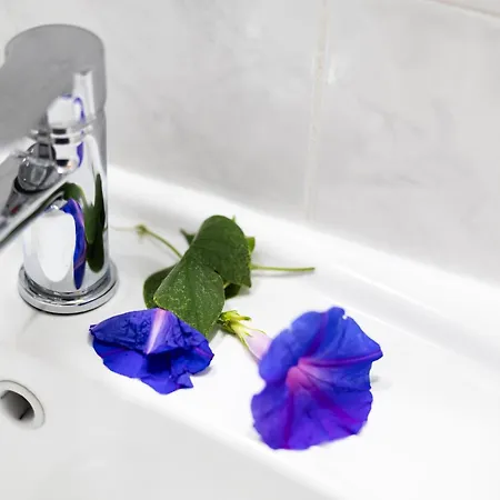 Apartment Gosia Gym Included Lixouri